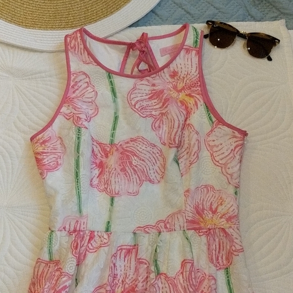 STUNNING Lilly Pulitzer Darcelle Dress Size 2 - Picture 9 of 16